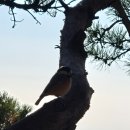 시루봉1농장 | 등산 12월, 광교산 형제봉 등산 후기, 광교산1코스 수원, 맛집 백운주말농장 후기, 산토끼 산악회 첫 등산