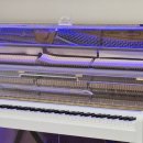 소리아트음악전문학원 이미지