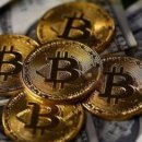 가상화폐 관련주 (﻿위지트, 인바이오젠, 비덴트, TS인베스트먼트 등) 미국 1월 소비 증가로 비트코인 가격 급등에 부각 이미지