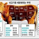 소고기 부위별로 알고 먹읍시다. 이미지