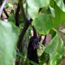 달림농장 이미지