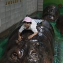 6월 휴무...더 보기