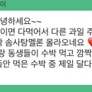 원두막메론