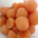 OPTIMAL NATURE 이미지