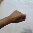 파파손케어 이미지