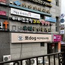 뽀 dog 이미지