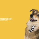 상대원동물병원