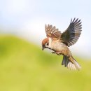 구미신당초등학교 이미지