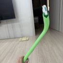 에코클리너 | [화장실청소 방법] 에코리멤버 변기클리너 세트 일회용 변기세정제 후기