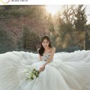 권 | Wedding. 앤드류권 스튜디오 계약후기 (견적O)
