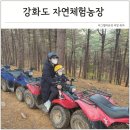 계형농장 | 인천 놀거리 가득 강화도 자연체험농장 아이랑 가볼만한곳 추천