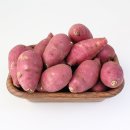 팔도농장 이미지