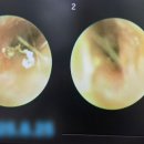 복음보청기 성남센터 이미지