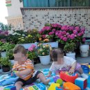 애플펀어린이집 이미지