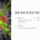 뿌리마트 이미지