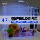 학교생각키우기 | 생명과학 코리도라스 분양! 초보 물고기 키우기 | 모비딕 미니 스펀지밥 어항 풀세트 구매 후기