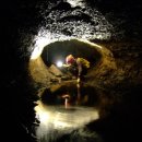 숲결 3,4 이미지