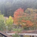 신사가든 이미지