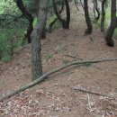 장선리 마을회관 이미지