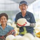 황금뜰농장 이미지