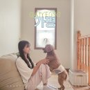 (주)비헤이메이드 | 경기도 가평펜션, 숲속 근처 계곡이 있는 애견동반 독채 숙소 헤이핀란드 후기