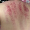 3well | Well 247 바디컷튠핏 웰247 사용법 솔직후기 내돈내산