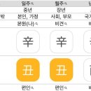 사주에 신금 많으면 외모 좋다더니 이미지