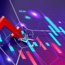 비디아이소프트 이미지