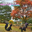 청주 미동산수목원 가을 단풍 산책로 나들이 데이트 숲도서관 입장료