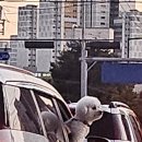 삼죽특수가스 이미지