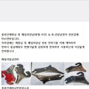 베일러 연마 이미지