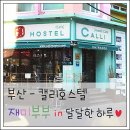 캘리 호스텔 이미지