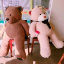 전남대정문 이미지