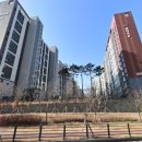 퍼펙트쉴드파주 네이버블로그