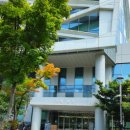 LH치과의원 네이버블로그