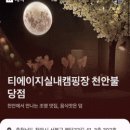 티에이지실내캠핑장 이미지