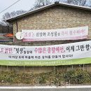 종교와진리 - 신흥 사이비 ‘빛생’(빛의생명나무)... 사이비 교리들(2) 이미지