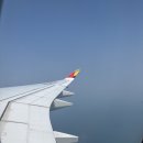 729 | 인천 ⇔ 하노이 아시아나 항공 OZ729/OZ734 기내식, 탑승 후기