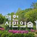 우면산둘레길 | [서울 걷기 여행] 서울둘레길10코스(우면산) 트레킹 후기