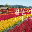 명신관광 - 진주시 판문로505번길 2 | 명신관광
