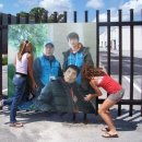 반딧불1 이미지