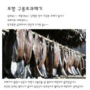 구룡포과메기/계절의 별미 쫀득하고 고소한 맛있는 과메기 이미지