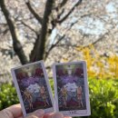 마차곡 | 박효신 콘서트 셋리스트 MD 굿즈 E구역 좌석 후기 LIVE A E 2026 인천