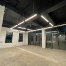 스타 반려견 교육센터 이미지