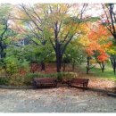 에코힐링 이미지