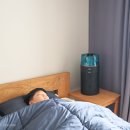 ㈜아이오토코리아 | 다이슨 허쉬젯 컴팩트 공기청정기 사용 후기, 조용한 공기청정기 추천