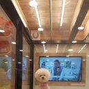 헤이독 네이버블로그