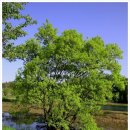 통기타교실(토요) 이미지