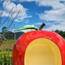 배가네식당 이미지