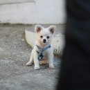 청학동경로당 이미지